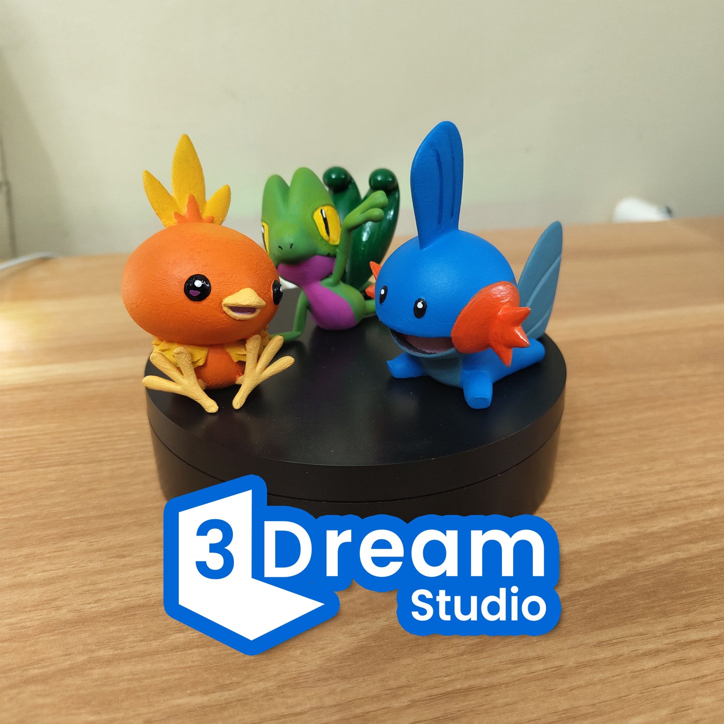 Pokémon 3ra Gen Starter Pack