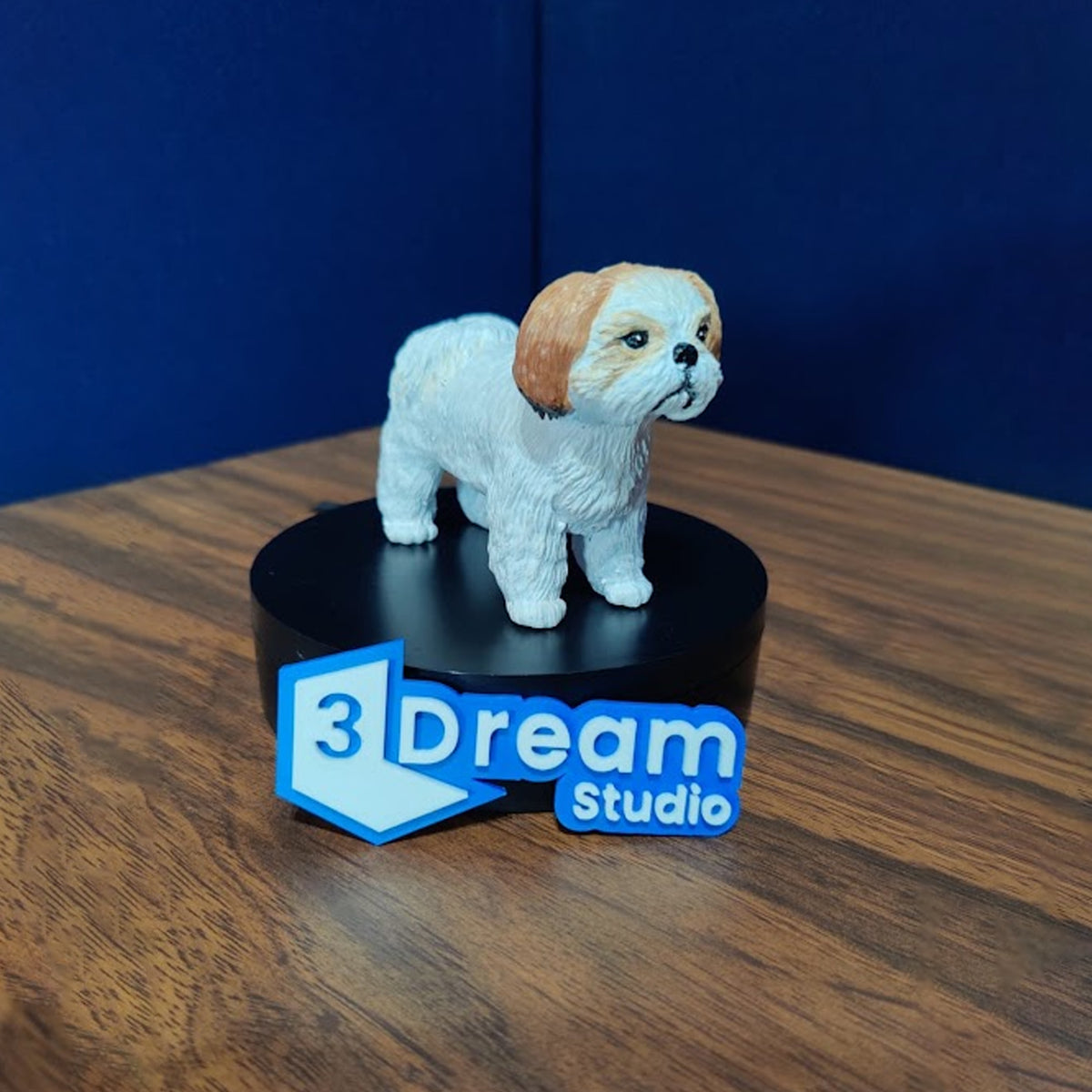 Mascotas personalizadas